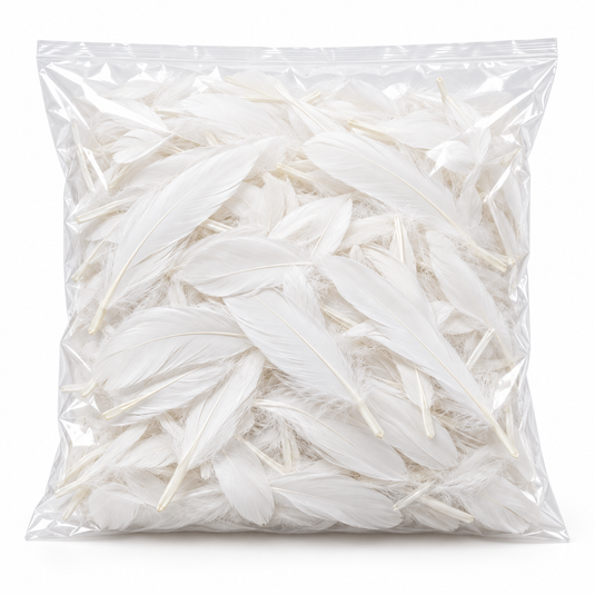 Sachet de 25 gr de plumes de dinde, pieds plats blanc