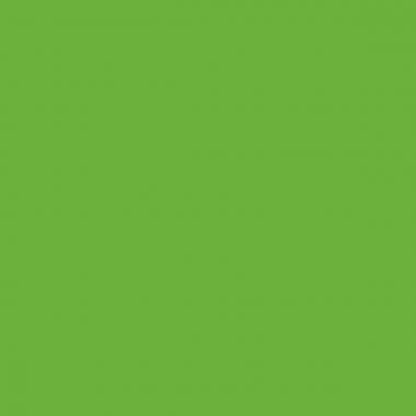 Etui de 12 crayons de couleur Noris colour 185 - Ma Rentrée Facile