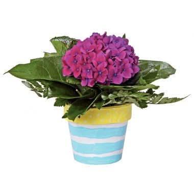 Lot de 10 pots de fleurs en carton hauteur 10 cm - Ma Rentrée Facile