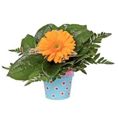 Lot de 10 pots de fleurs en carton hauteur 10 cm - Ma Rentrée Facile