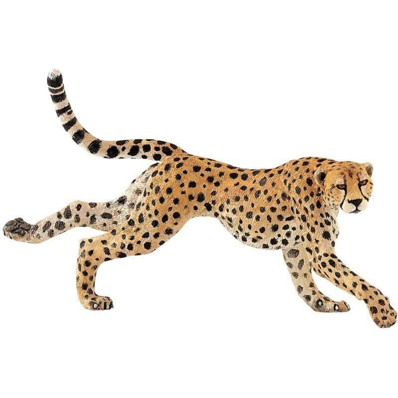 Lot de 11 figurines d'animaux sauvages PAPO - Ma Rentrée Facile
