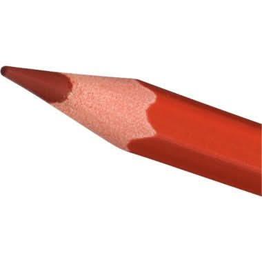 Lot de 12 de étuis de 12 crayons de couleurs Bic Kids Évolution Ecolution - Ma Rentrée Facile