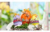 Lot de 5 boites ?ufs de Pâques en carton DECOPATCH - Ma Rentrée Facile