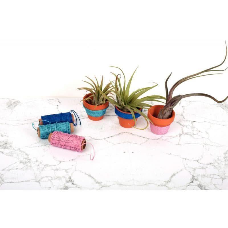 Lot de 6 bobines de fil de jute 100mx2mm - Ma Rentrée Facile