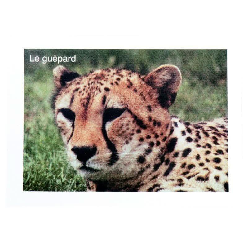 Lot de 96 images en planche dimensions 6 x 8 cm - Ma Rentrée Facile