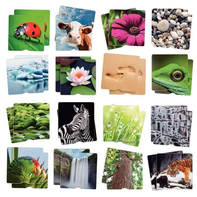 Maxi mémo tactile la nature - Ma Rentrée Facile