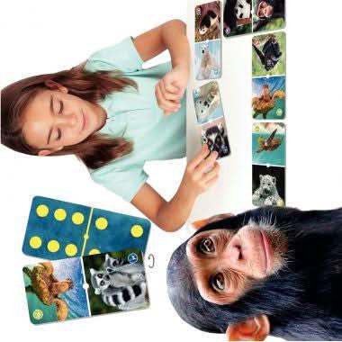 Natudomino animaux en extinction Akros - Ma Rentrée Facile