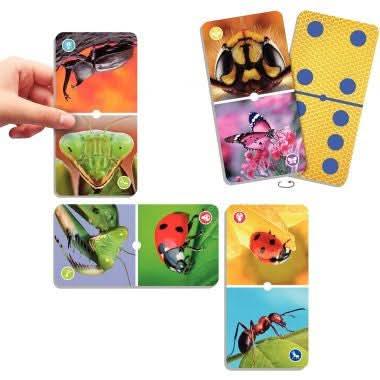 Natudomino les insectes Akros - Ma Rentrée Facile