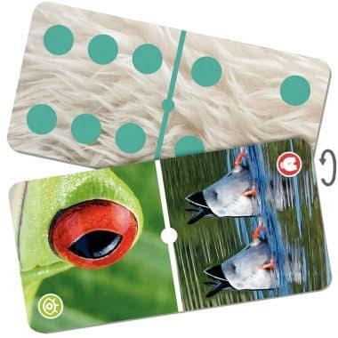 Natudomino zoom animaux Akros - Ma Rentrée Facile