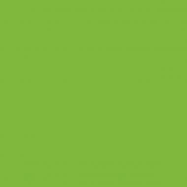 Paquet de 100 chemises 210 g ROCK"S 220 EXACOMPTA vert - Ma Rentrée Facile