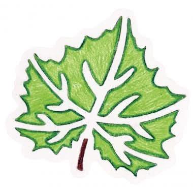 Paquet de 12 pochoirs feuilles d'arbre - Ma Rentrée Facile