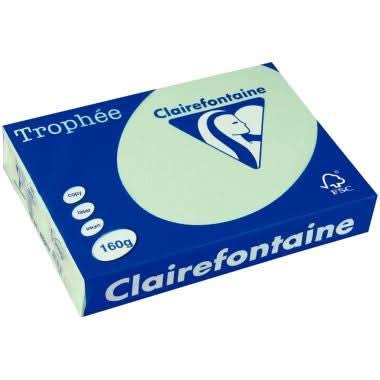 Paquet de 250 feuilles de papier 160g de format A4 vert TROPHEE CLAIREFONTAINE - Ma Rentrée Facile