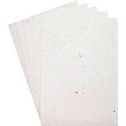 Paquet de 5 feuilles ensemencées 21x29,7cm - Ma Rentrée Facile