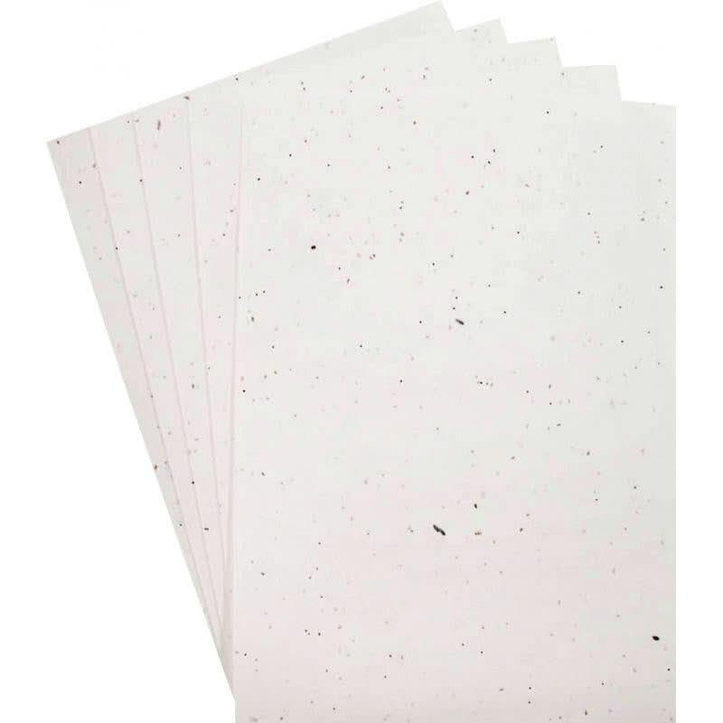 Paquet de 5 feuilles ensemencées 21x29,7cm - Ma Rentrée Facile