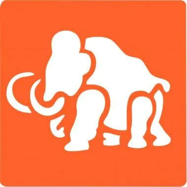 Paquet de 6 pochoirs en plastique thème dinosaure - Ma Rentrée Facile