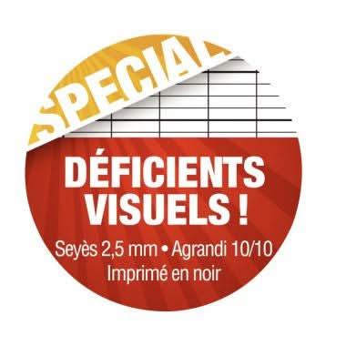 Cahier déficient visuel 17x22, 48 pages, seyès 2,5 mm agrandi 10/10, 90g - Ma Rentrée Facile
