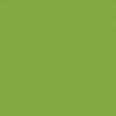 Cahier 17x22, 48 pages,seyès, couverture polypro avec 2 rabats vert, Conquérant - Ma Rentrée Facile