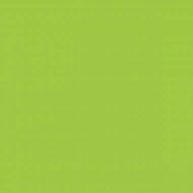 Plaque porte bloc plastique, A4+ avec pince, vert - Ma Rentrée Facile