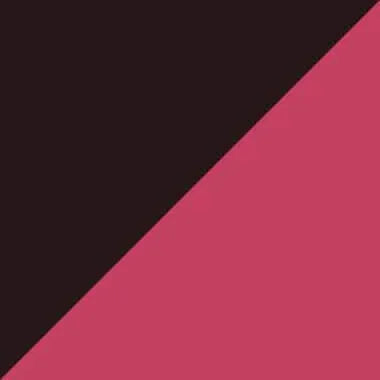 Pochette de 6 rollers encre gel Dual Metallic Pentel - Ma Rentrée Facile