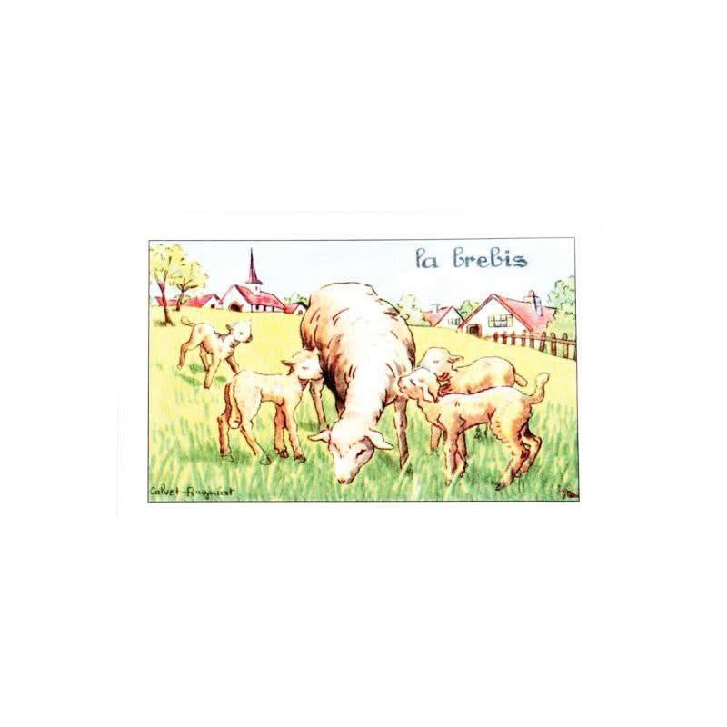 Lot de 960 images en planches dimensions 8,5 x 6 cm - Ma Rentrée Facile