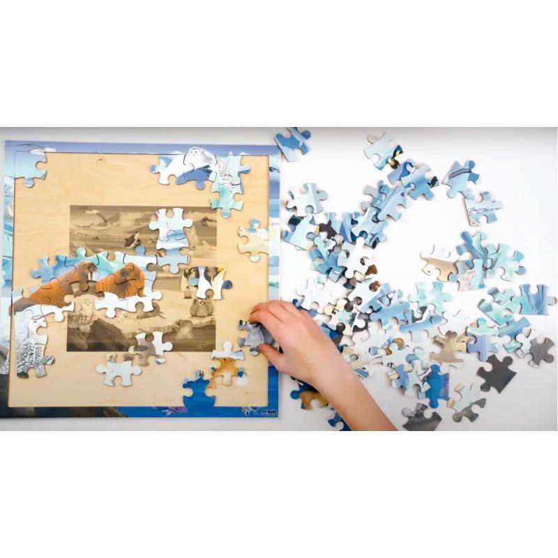 Puzzle en bois de 81 pièces, le Pôle Nord - Ma Rentrée Facile