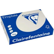 Ramette de 500 feuilles de papier 80g de format A3 gris perle TROPHEE CLAIREFONTAINE - Ma Rentrée Facile