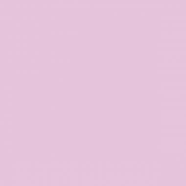 Ramette de 500 feuilles de papier 80g de format A4 rose TROPHEE CLAIREFONTAINE - Ma Rentrée Facile