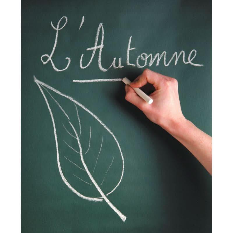 Rouleau de tableau vert adhésif à usage craies 2mx0.45 m - Ma Rentrée Facile