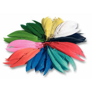 Sachet de 100 gr de plumes d'indien couleurs assorties - Ma Rentrée Facile
