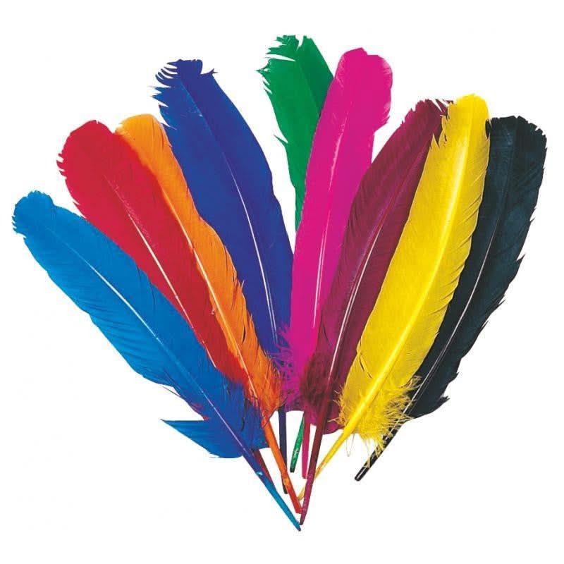 Sachet de 12 plumes d'indien couleurs assorties - Ma Rentrée Facile