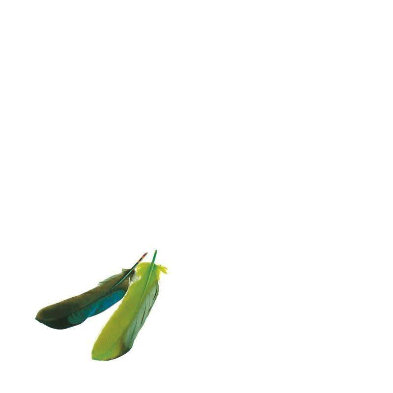 Sachet de 25 gr de plumes de dinde assortis - Ma Rentrée Facile