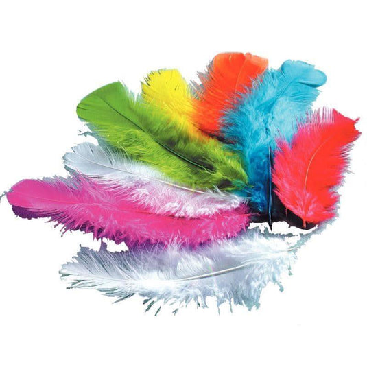 Sachet de 250 gr de plumes de dinde assortis - Ma Rentrée Facile