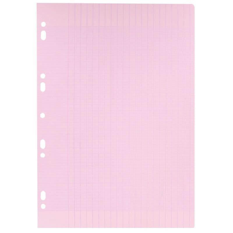 50 feuillets mobiles (100 pages) format 21x29,7cm séyès 80g rose, Calligraphe - Ma Rentrée Facile