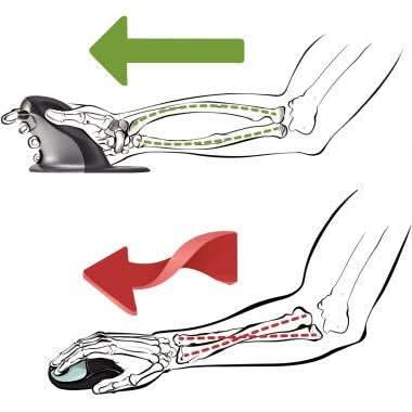 Souris ergonomique sans fil Penguin Fellowes, taille S - Ma Rentrée Facile