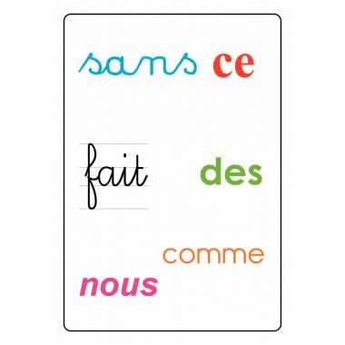 Tam Tam Safari - Les mots outils du CP - Ma Rentrée Facile